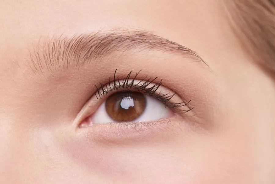 Close view of a natural brow above a brown eye