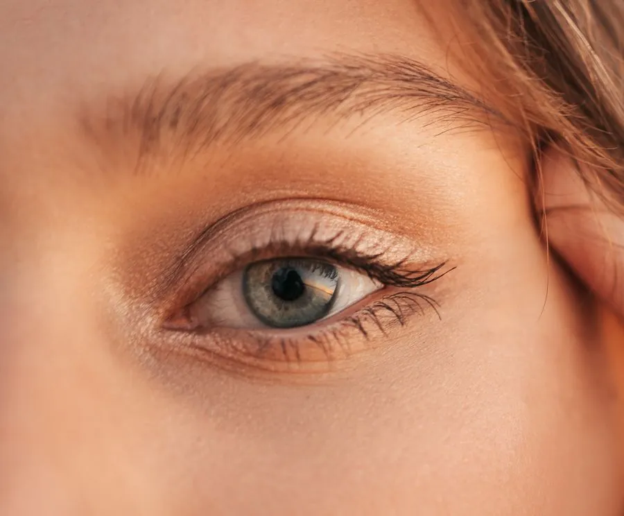 A soft, even brow above a grey-green eye
