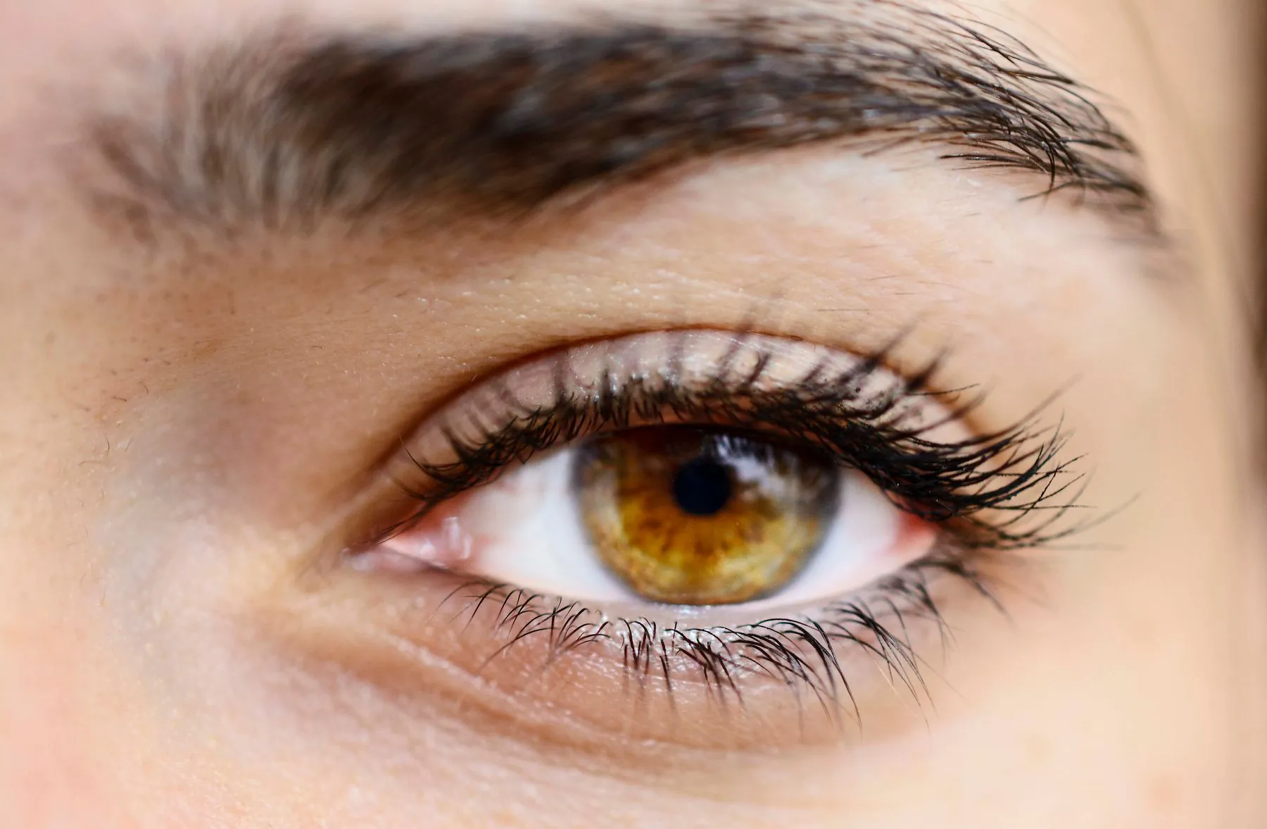 Close view of a hazel eye and a natural brow